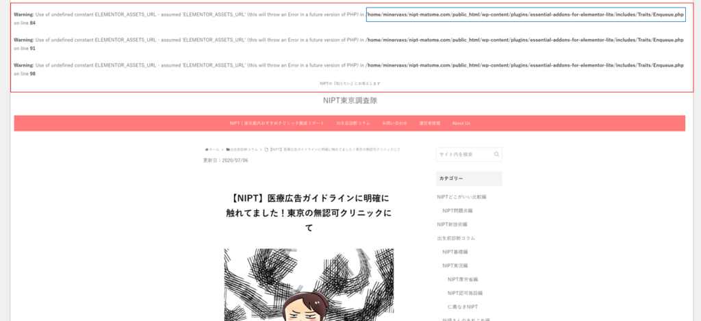 NIPT東京調査隊